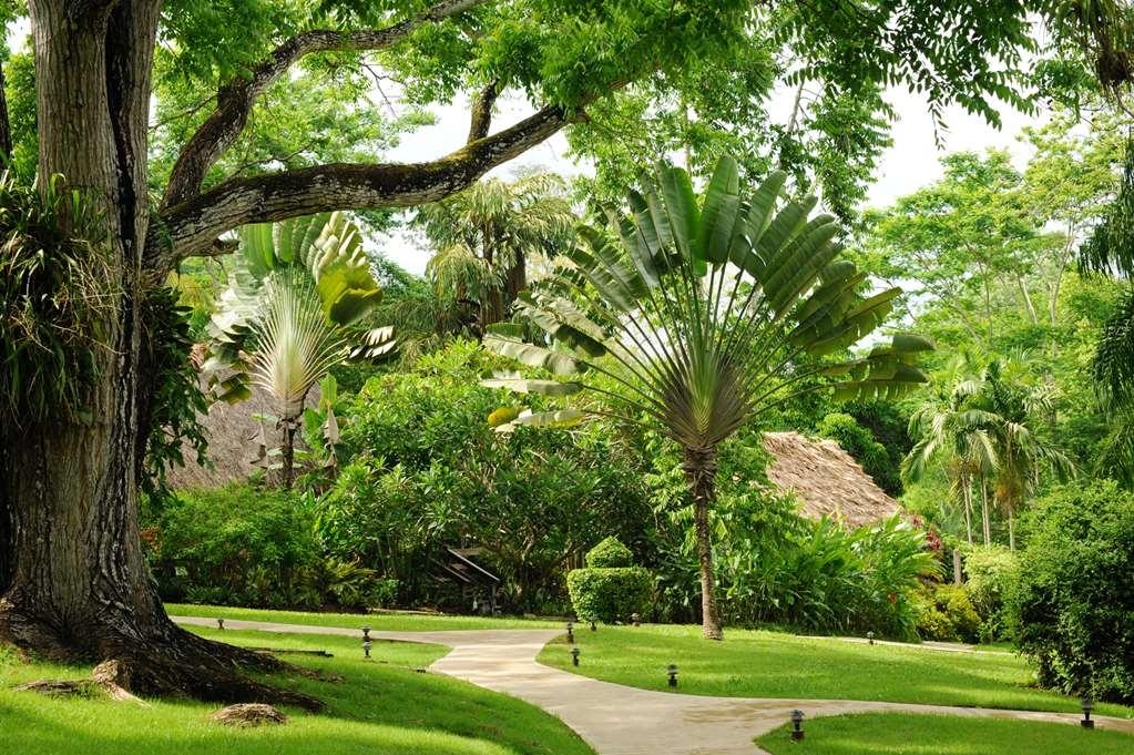The Lodge At Chaacreek San Ignacio Ngoại thất bức ảnh