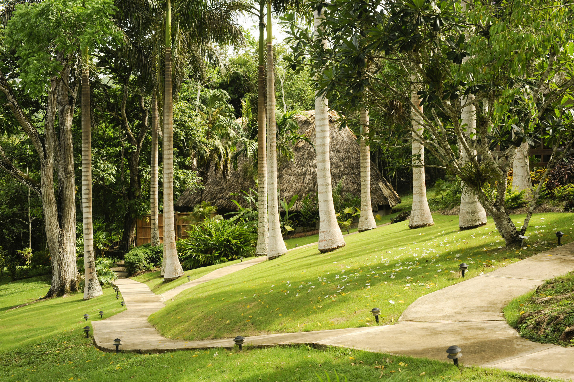 The Lodge At Chaacreek San Ignacio Ngoại thất bức ảnh